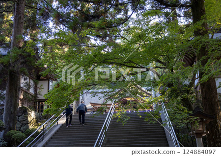 Ogami Shrine, Nara Prefecture / Worship hall (photographed in November 2024) Ogami Shrine, Nara Prefecture / Worship hall (photographed in November 2024) 124884097