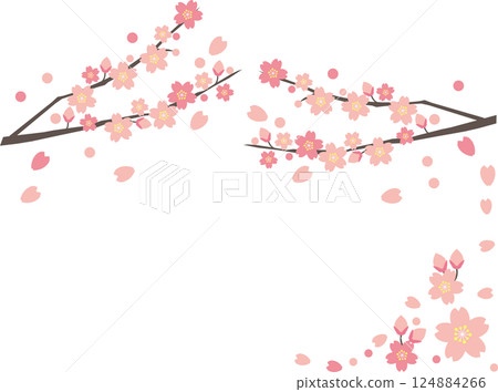 Cherry Blossoms	 124884266