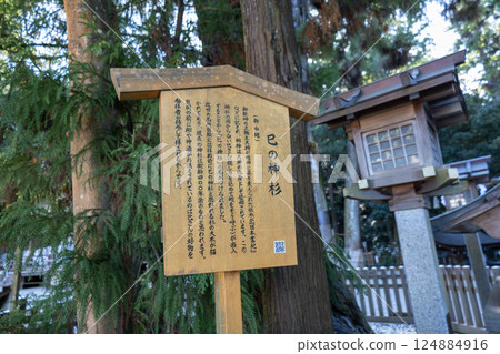 奈良縣大神社/蛇神杉(2024年11月拍攝) 奈良縣大神社/蛇神杉(2024年11月拍攝) 124884916