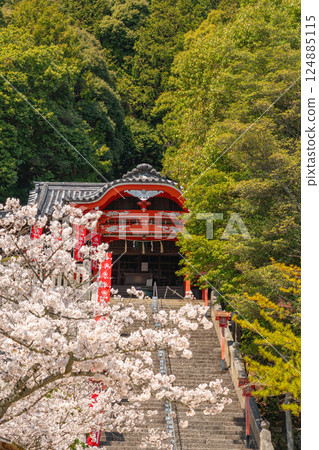櫻花盛開的寺廟或神社境內的石階圖片[岡山縣倉敷市] 124885115