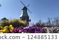 Park with spring flowers and windmills 124885133