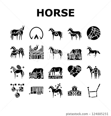 horse breeding equestrian icons set vector 124885231