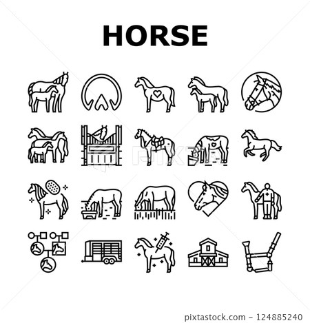 horse breeding equestrian icons set vector 124885240