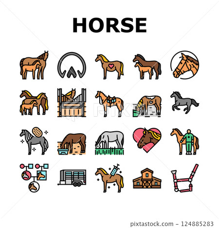horse breeding equestrian icons set vector horse breeding equestrian icons set vector 124885283