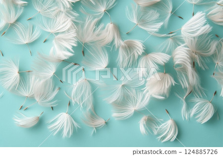 Beautiful dandelion blooms against a blue background celebrating natures delicate details 124885726
