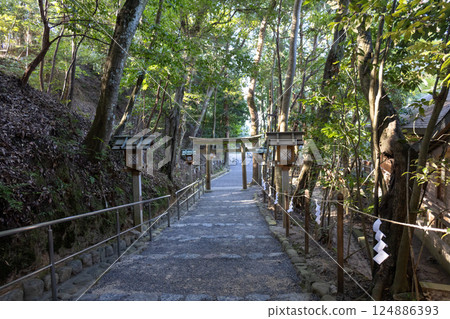 Ogami Shrine/Shinho Shrine, Nara Prefecture (photographed in November 2024) 124886393