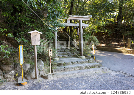 奈良縣大神社/天王社(2024年11月拍攝) 奈良縣大神社/天王社(2024年11月拍攝) 124886923