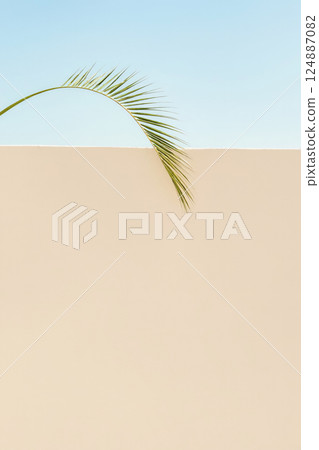 palm on white wall. Minimalistic light background 124887082
