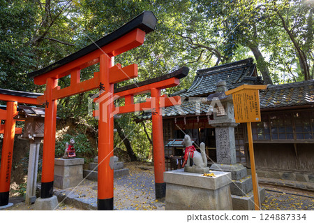 奈良縣大神神社/常岩稻荷神社（2024年11月拍攝） 124887334