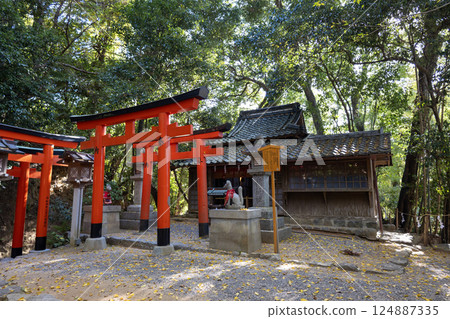 奈良縣大神神社/常岩稻荷神社（2024年11月拍攝） 124887335