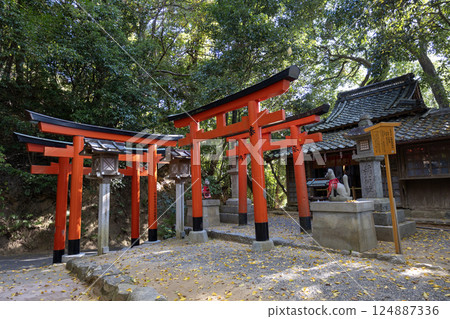 Omiwa Shrine, Nara Prefecture / Jogan Inari Shrine (photographed in November 2024) Omiwa Shrine, Nara Prefecture / Jogan Inari Shrine (photographed in November 2024) 124887336