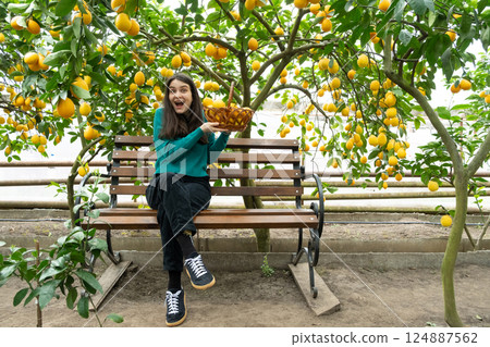 A woman and a basket of ripe lemons. Growing lemons A woman and a basket of ripe lemons. Growing lemons 124887562
