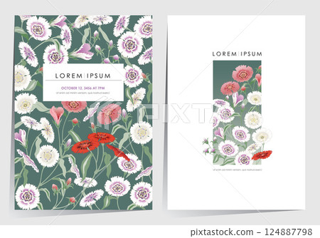 A Colorful Field of Blooming Dianthus Flowers. Vector illustration of template set. A Colorful Field of Blooming Dianthus Flowers. Vector illustration of template set. 124887798