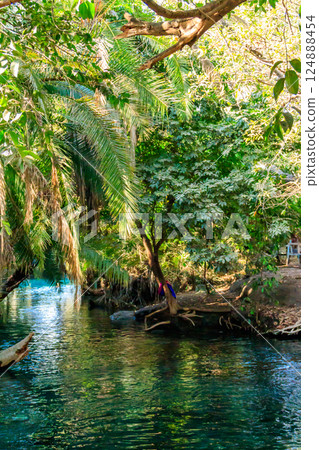 Chemka hot springs (Kikuletwa) near Moshi,  Tanzania 124888454