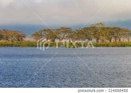 View of a lake in Ngorongoro Crater, Tanzania View of a lake in Ngorongoro Crater, Tanzania 124888488