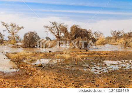 View of Lake Manyara National Park in Tanzania View of Lake Manyara National Park in Tanzania 124888489