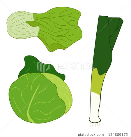 Cabbage, shallots, bok choy, Vector vegetables isolated set. Flat icons. Collection farm product for restaurant menu, market label. For logo, web, package, sticker. Eat green Cabbage, shallots, bok choy, Vector vegetables isolated set. Flat icons. Collection farm product for restaurant menu, market label. For logo, web, package, sticker. Eat green 124889175