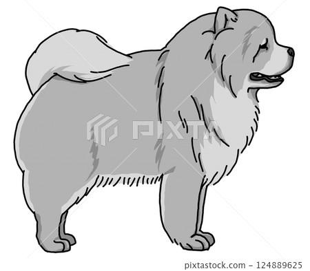 鬆獅犬透明背景狗插圖 124889625