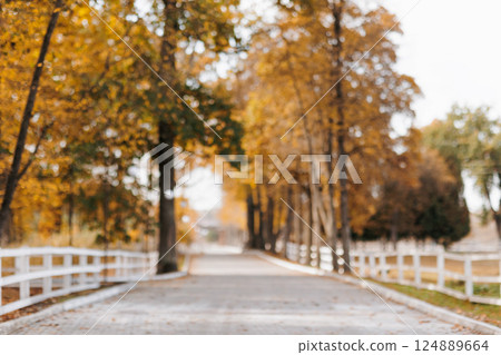 Out of focus tranquil autumn park with walkway lined surrounded by trees with yellow orange leaves, white wooden rustic fences in sunny day. Sense of peace and nature, relaxation or outdoor adventure Out of focus tranquil autumn park with walkway lined surrounded by trees with yellow orange leaves, white wooden rustic fences in sunny day. Sense of peace and nature, relaxation or outdoor adventure 124889664