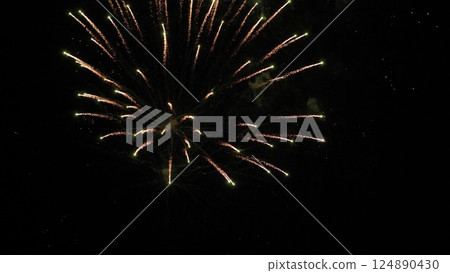 Breathtaking fireworks bursts paint dark night sky with shimmering traces and stars. Firework explosions color dark sky with amazing flame patterns. Fireworks spread shimmering sparks at nighttime 124890430