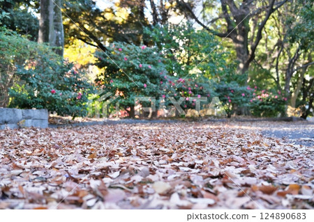 Road of fallen leaves 124890683