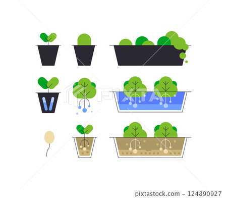 Plant growing. Plants in pots. Gardening. Set of flat graphics 124890927