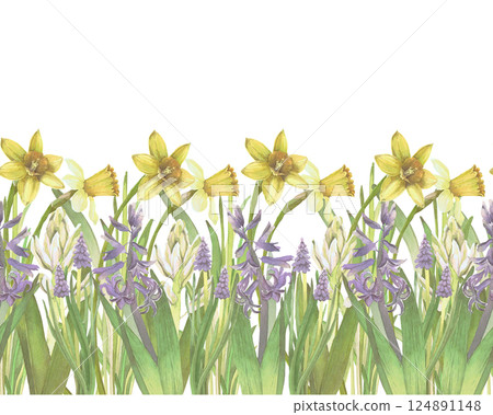 Seamless border of spring flowers watercolor illustration isolated on white. Hyacinths and narcissus hand drawn pastel tones for Easter cards, packaging and festive decor 124891148