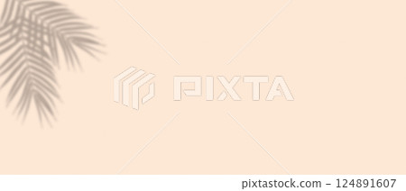 shadow from plant branches on brown background 124891607