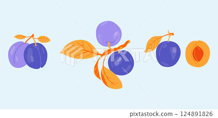 Plum vector drawing set. Fruit, branch and sliced pieces. Summer food illustration for label, poster, print, menu. 124891826