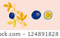 Passion fruit branch vector illustration. Fruit, branch and sliced pieces. Exotic food illustration for label, poster, print, menu. 124891828