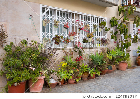 Garden plants in pots adorning suburban house exterior with white metal window grate Garden plants in pots adorning suburban house exterior with white metal window grate 124892087