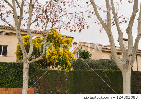 Charming suburban home with lush garden in autumn Charming suburban home with lush garden in autumn 124892088