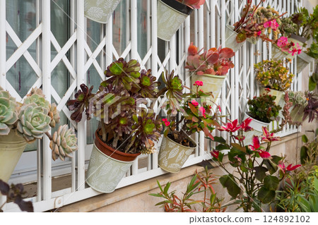 Lush vertical garden with colorful succulents and flowers on metal grid 124892102