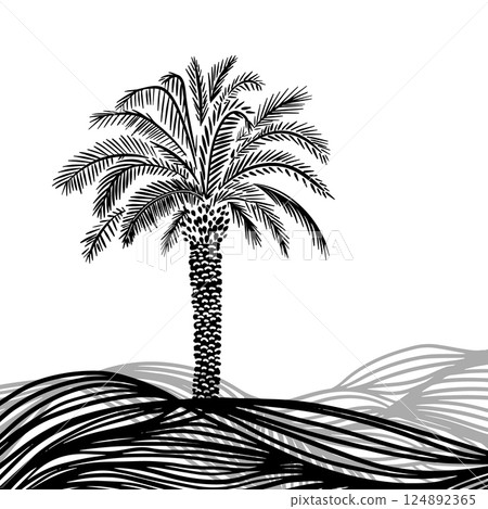 Graphic palm tree . hand drawn. Not AI, Vector illustration 124892365