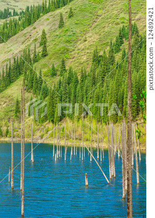 legendary lake with dead trees in almaty. reservoir with clean drinking water in kazakhstan 124892421