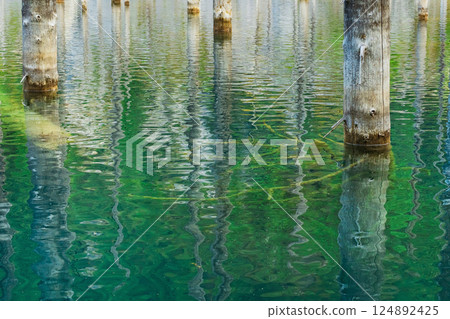 Lake Kaindy in the mountains Almaty. Frozen pines in icy water Kazakhstan. Tree trunks in the lake Lake Kaindy in the mountains Almaty. Frozen pines in icy water Kazakhstan. Tree trunks in the lake 124892425