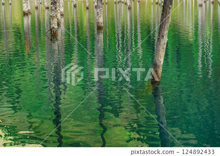 Lake Kaindy in the mountains Almaty. Frozen pines in icy water Kazakhstan. Tree trunks in the lake 124892433