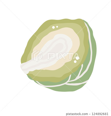 Brussels sprout Illustration of fresh vegetables hand-drawn flat vector elements Organic Food Invitations, gifts, greeting cards, print, textile 124892681