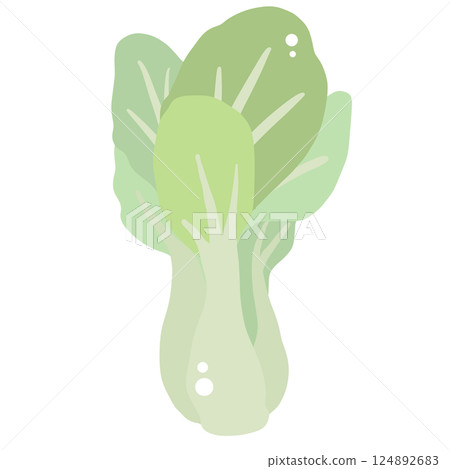 Bokchoy Illustration of fresh vegetables hand-drawn flat vector elements Organic Food Invitations, gifts, greeting cards, print, textile Bokchoy Illustration of fresh vegetables hand-drawn flat vector elements Organic Food Invitations, gifts, greeting cards, print, textile 124892683