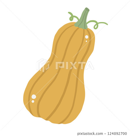 Squash Illustration of fresh vegetables hand-drawn flat vector elements Organic Food Invitations, gifts, greeting cards, print, textile Squash Illustration of fresh vegetables hand-drawn flat vector elements Organic Food Invitations, gifts, greeting cards, print, textile 124892700