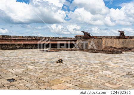 Historic fort called Forte do Presepio at Belem, Para, Brazil. It hosts the Encounter Museum, Museu do Encontro 124892855