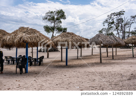 Barra velha beach at Soure, Marajo in Para, Brazil. Beautiful beach and mangrove trees with their great crooked roots Barra velha beach at Soure, Marajo in Para, Brazil. Beautiful beach and mangrove trees with their great crooked roots 124892889