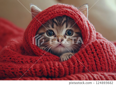Cozy orange kitten wrapped in warm red blanket enjoying peaceful moment indoors Cozy orange kitten wrapped in warm red blanket enjoying peaceful moment indoors 124893682