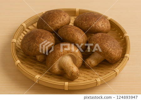 新鮮採摘的香菇 特色林產品 124893947