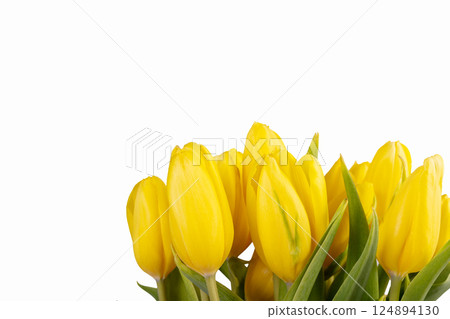 Minimalistic card with yellow tulips on white background. 124894130