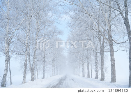 白霜林蔭小路 白霜林蔭小路 124894580