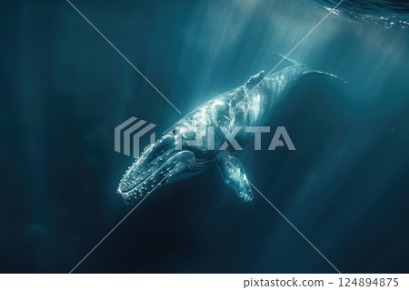 Humpback Whale Underwater in Majestic Ocean Depths with Sunlight Rays 124894875