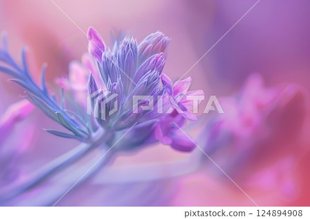 Macro of Dew-Covered Pink Flower with Bright Yellow Stamen Macro of Dew-Covered Pink Flower with Bright Yellow Stamen 124894908