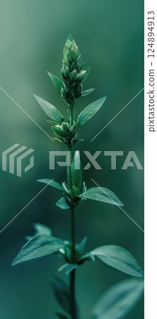 macro images of plants and flowers, soft focus, grainy, minimalistic, soft light 124894913