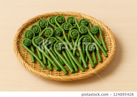 Freshly harvested fern 124895426